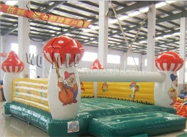 inflatable bouncer(1)