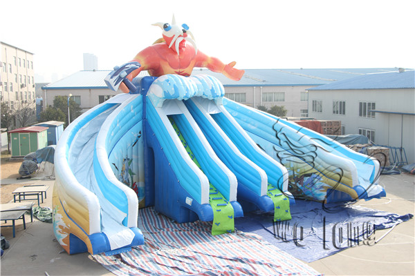 inflatable pool slide