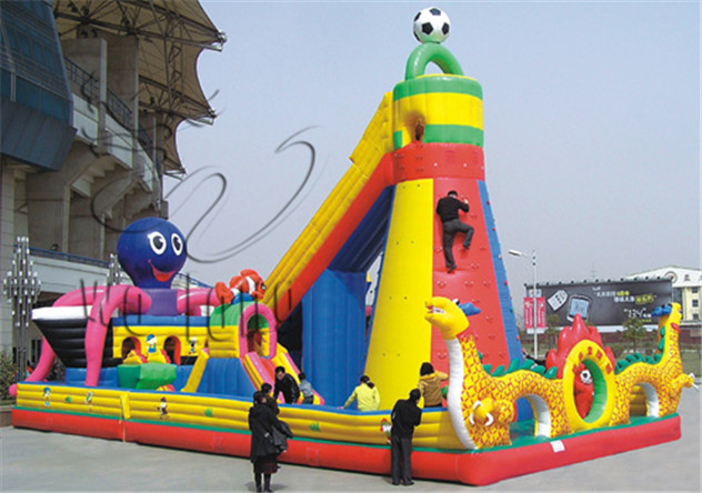 Amusement Climbing Castle