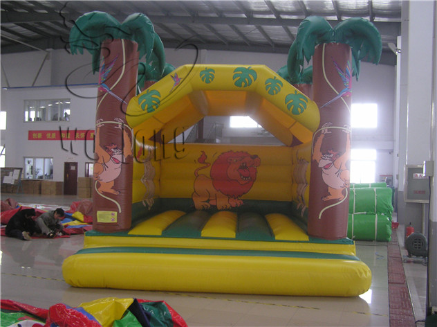 inflatable bouncer