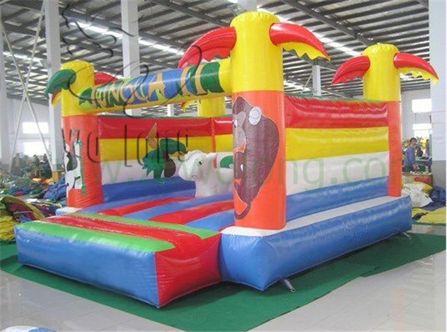 inflatable bouncer