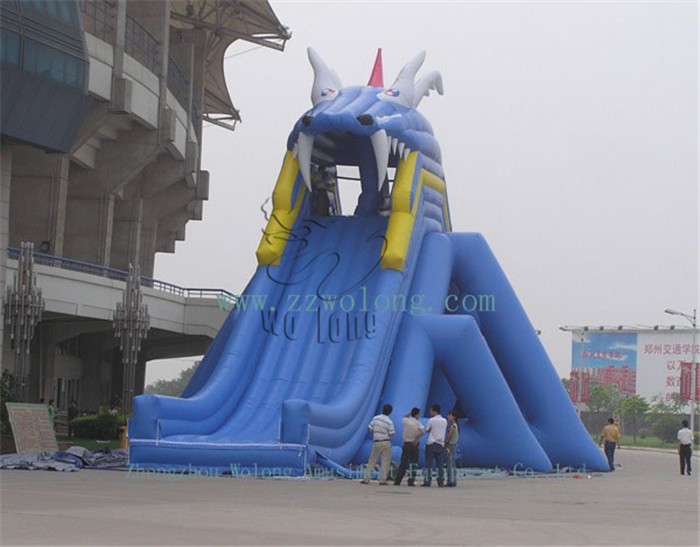 Inflatable Slide-Adrenalize Rush