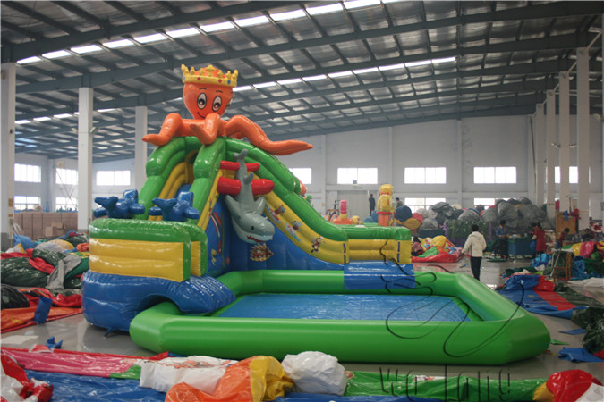 Octopus water slide7.jpg