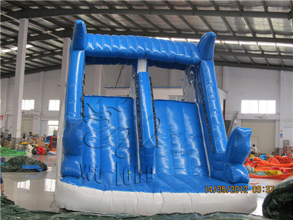 Dolphin water slide