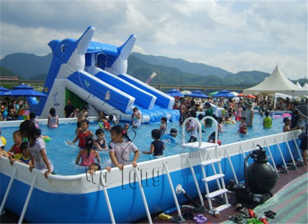 Dolphin water slide