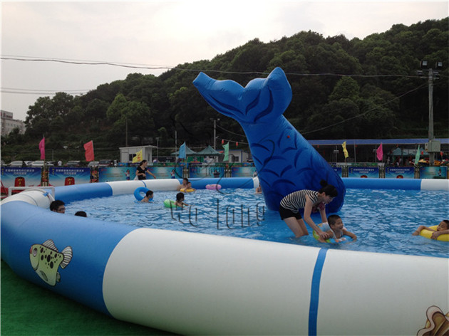 shark water park